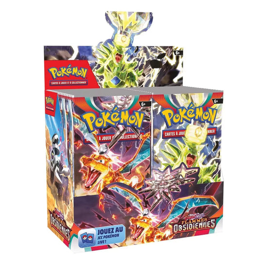 DISPLAY FLAMMES OBSIDIENNES EV3 | FRANCAIS